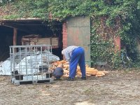 ein Bild aus dem Album